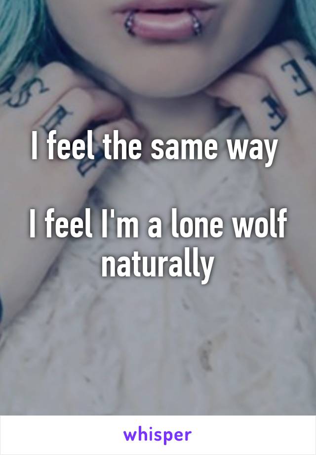 I feel the same way 

I feel I'm a lone wolf naturally
