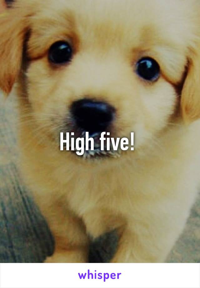 High five! 