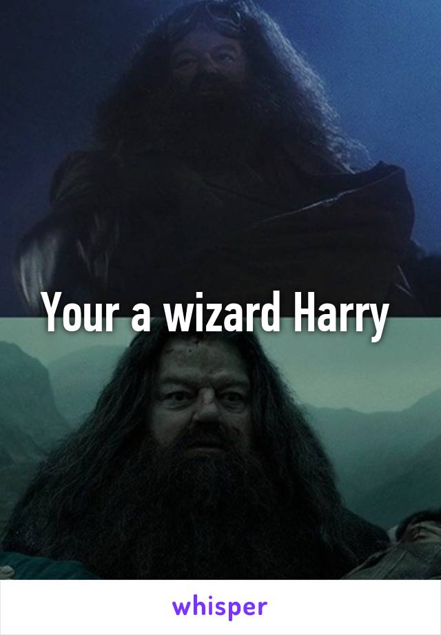 Your a wizard Harry 