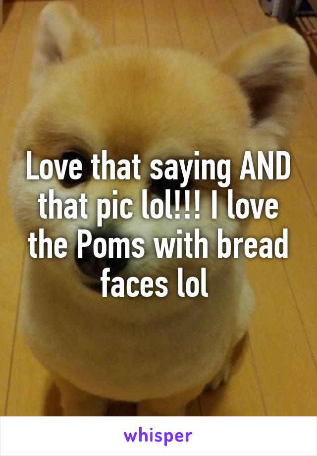 Love that saying AND that pic lol!!! I love the Poms with bread faces lol 
