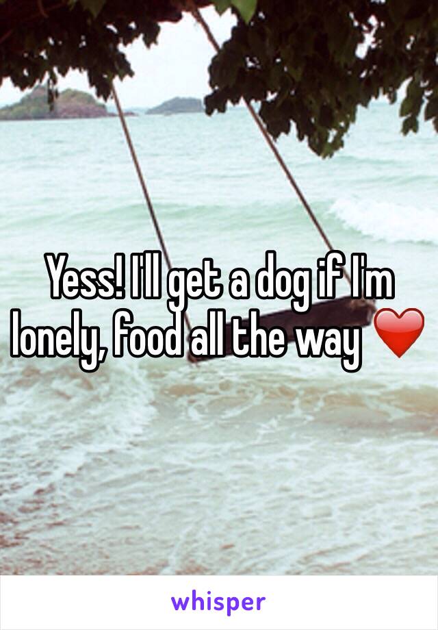 Yess! I'll get a dog if I'm lonely, food all the way ❤️