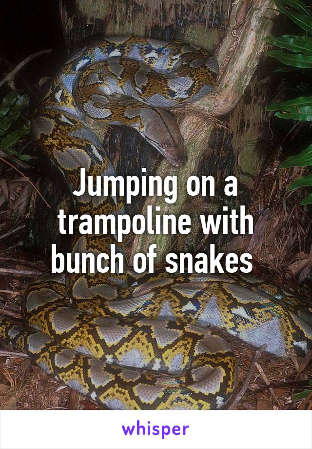 Jumping on a trampoline with bunch of snakes 