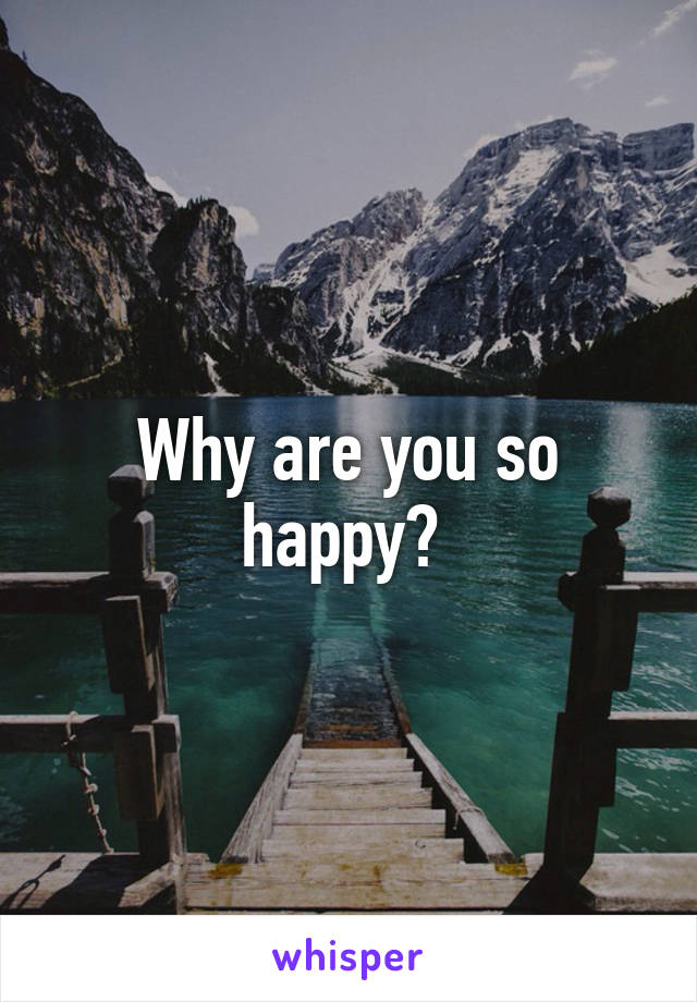 Why are you so happy? 