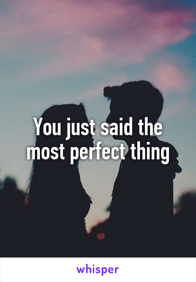 You just said the most perfect thing