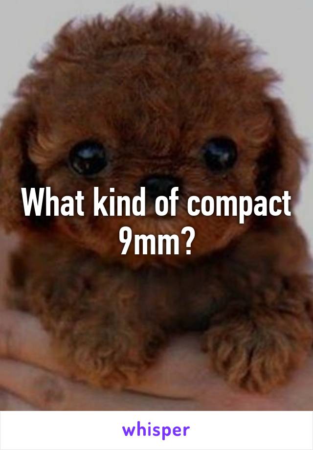 What kind of compact 9mm?