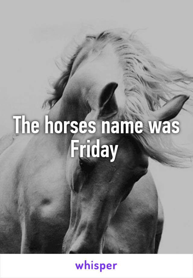 The horses name was Friday 