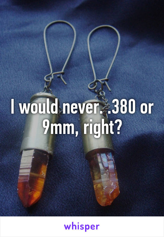 I would never. .380 or 9mm, right?