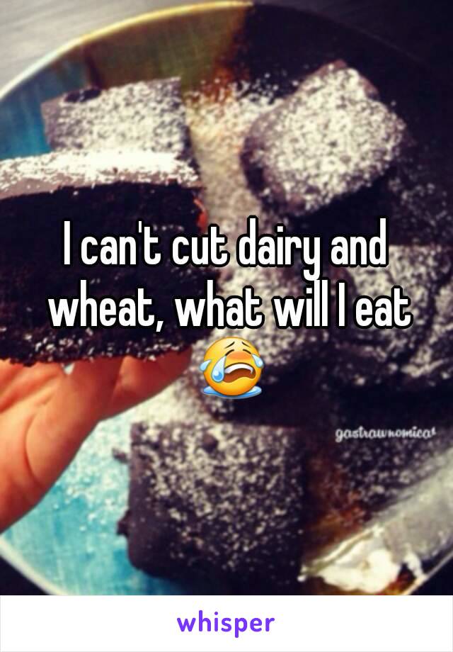 I can't cut dairy and wheat, what will I eat 😭
