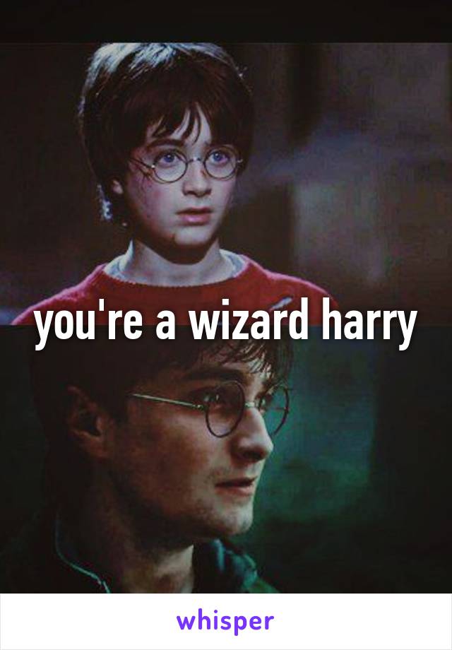 you're a wizard harry