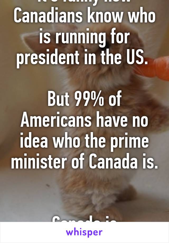 It's funny how Canadians know who is running for president in the US. 

But 99% of Americans have no idea who the prime minister of Canada is. 

Canada is insignificant. 