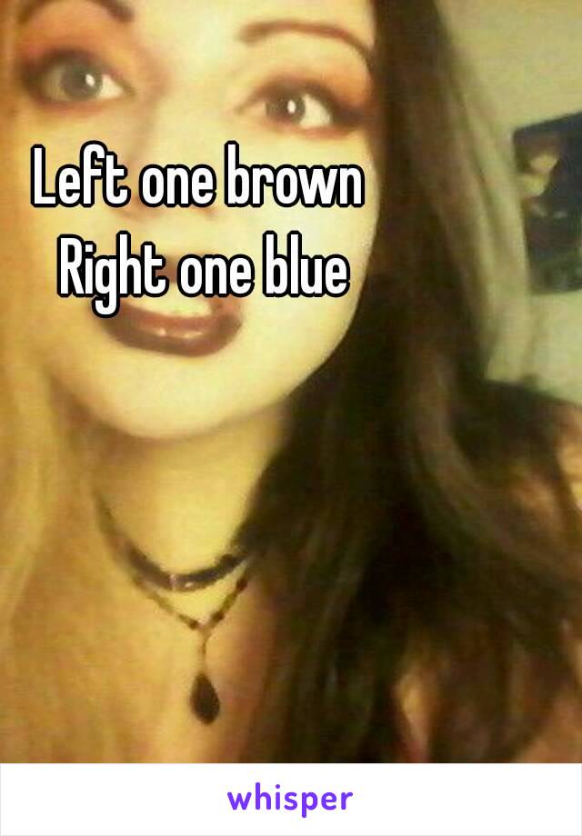Left one brown 
Right one blue