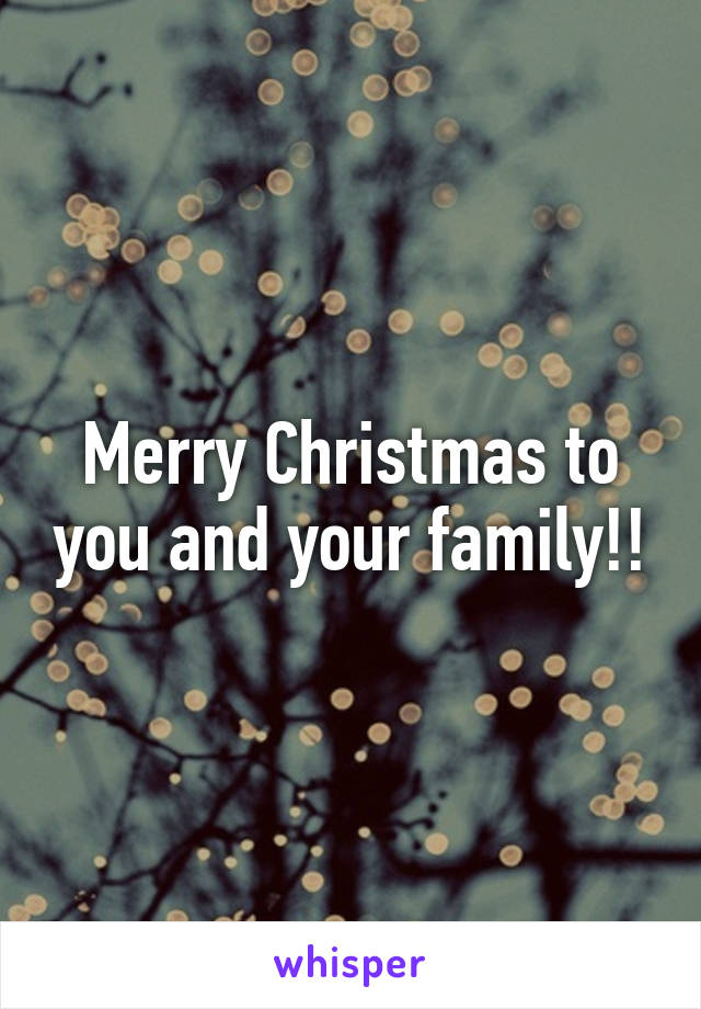 Merry Christmas to you and your family!!