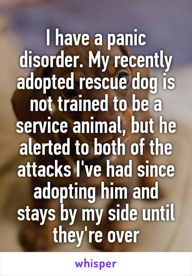 I have a panic disorder. My recently adopted rescue dog is not trained to be a service animal, but he alerted to both of the attacks I've had since adopting him and stays by my side until they're over