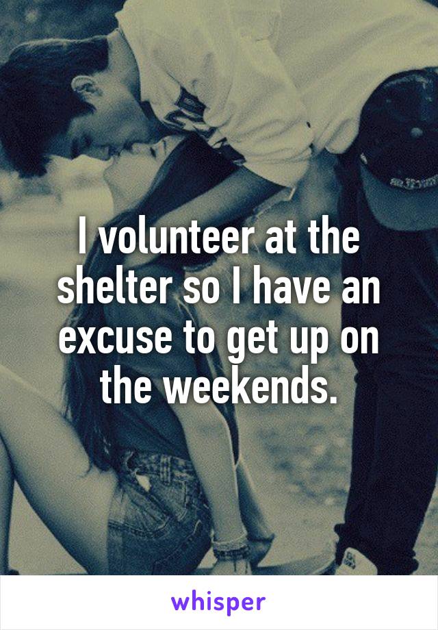 I volunteer at the shelter so I have an excuse to get up on the weekends.