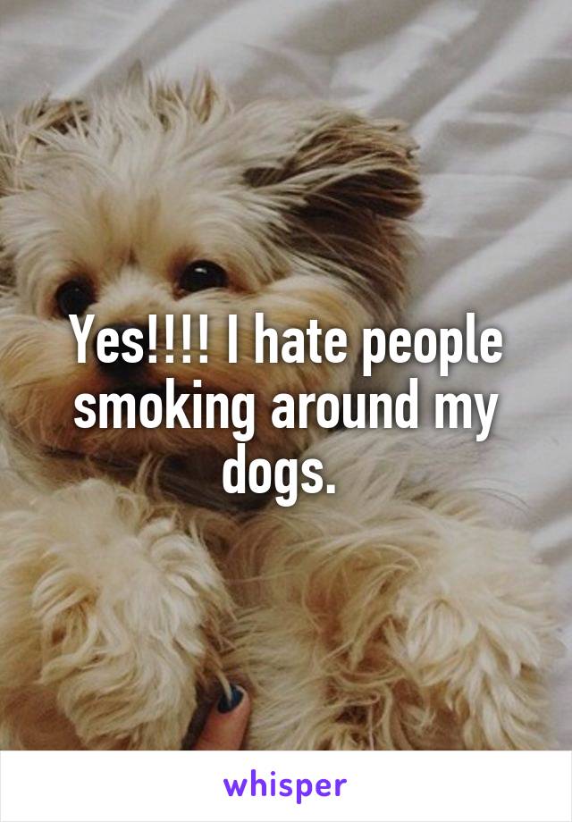 Yes!!!! I hate people smoking around my dogs. 