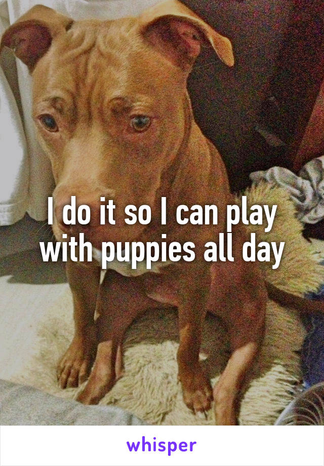 I do it so I can play with puppies all day
