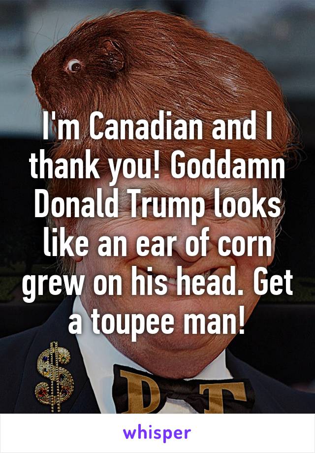 I'm Canadian and I thank you! Goddamn Donald Trump looks like an ear of corn grew on his head. Get a toupee man!