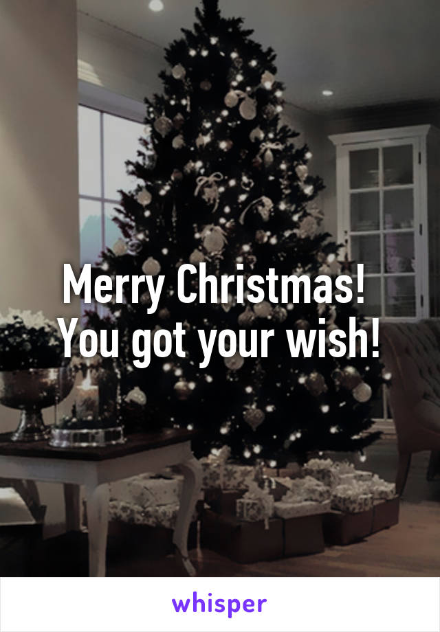 Merry Christmas!  You got your wish!