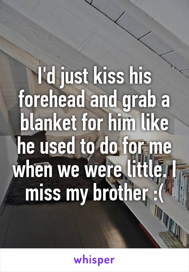 I'd just kiss his forehead and grab a blanket for him like he used to do for me when we were little. I miss my brother :(