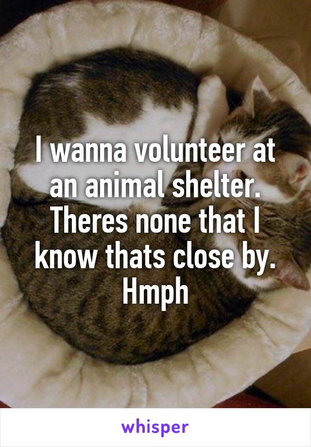 I wanna volunteer at an animal shelter. Theres none that I know thats close by. Hmph
