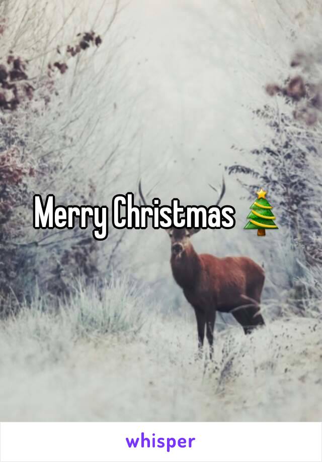 Merry Christmas🎄