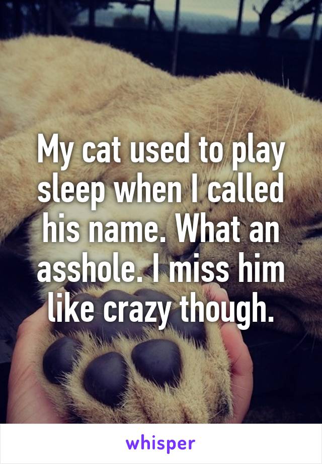 My cat used to play sleep when I called his name. What an asshole. I miss him like crazy though.
