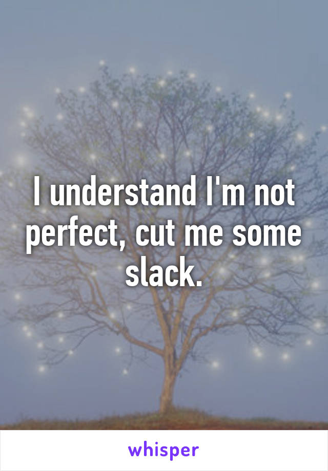 I understand I'm not perfect, cut me some slack.