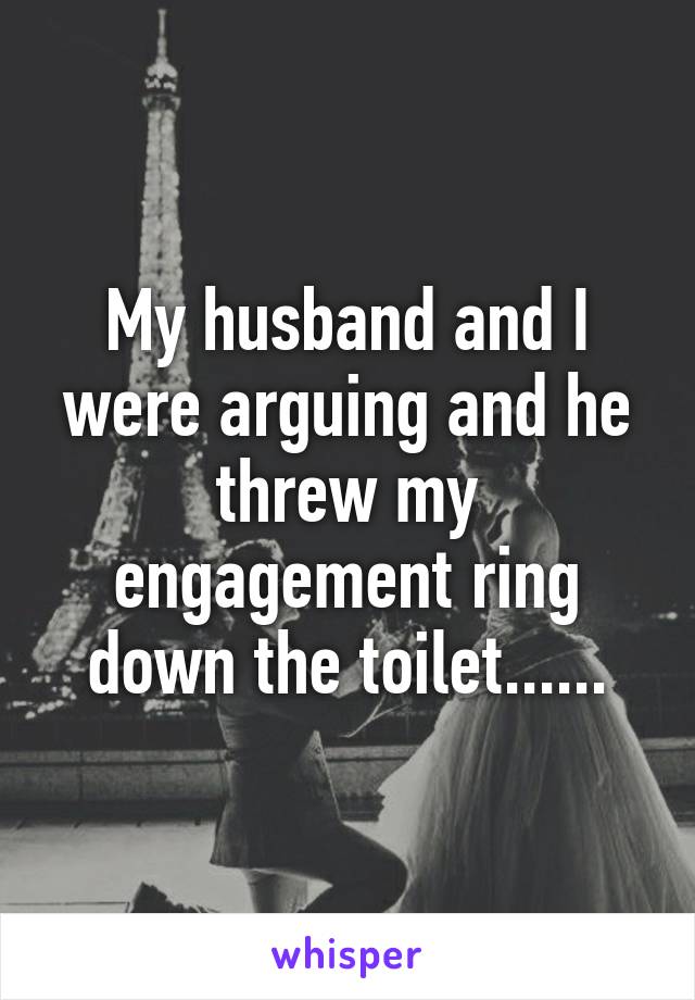 My husband and I were arguing and he threw my engagement ring down the toilet......