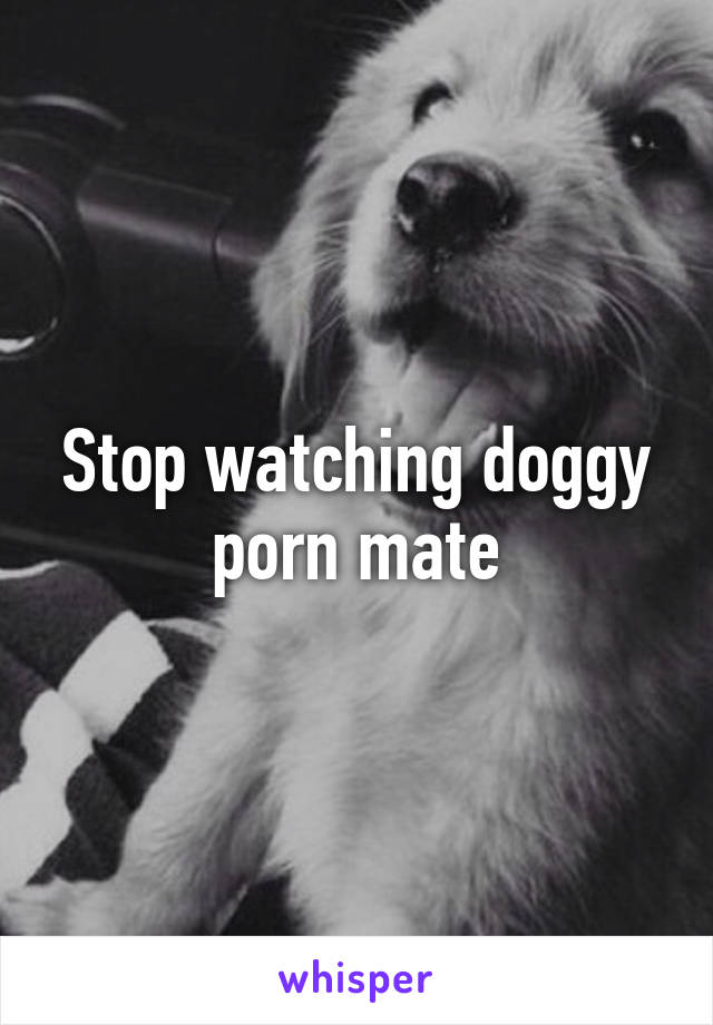 Stop watching doggy porn mate