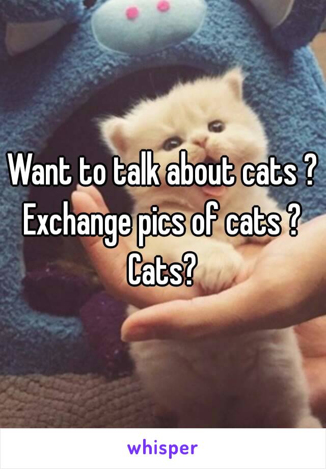 Want to talk about cats ? Exchange pics of cats ? 
Cats?