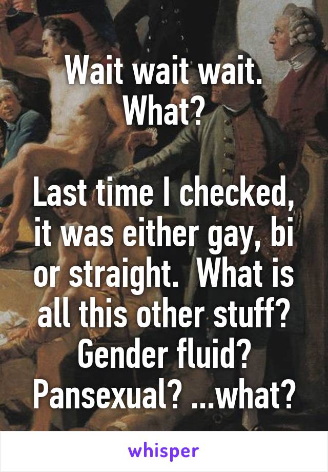 Wait wait wait. What?

Last time I checked, it was either gay, bi or straight.  What is all this other stuff? Gender fluid? Pansexual? ...what?
