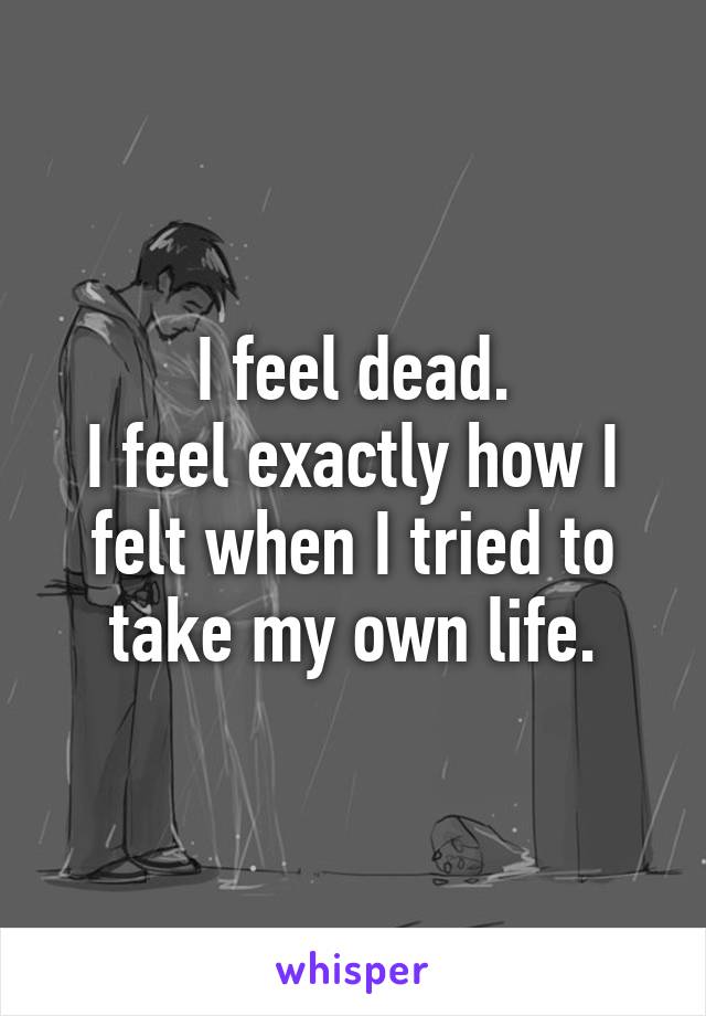 I feel dead.
I feel exactly how I felt when I tried to take my own life.