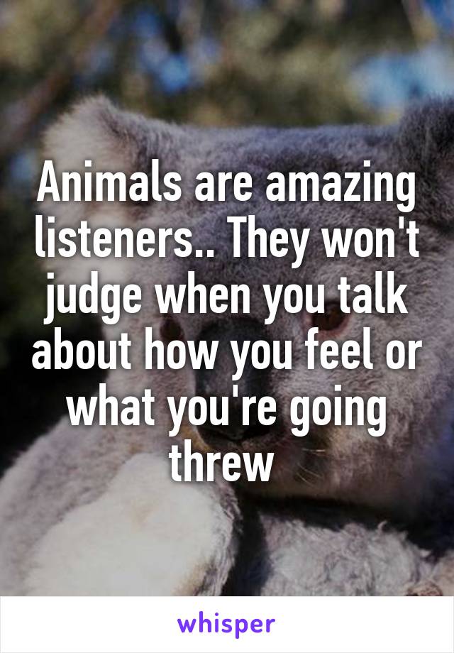 Animals are amazing listeners.. They won't judge when you talk about how you feel or what you're going threw 