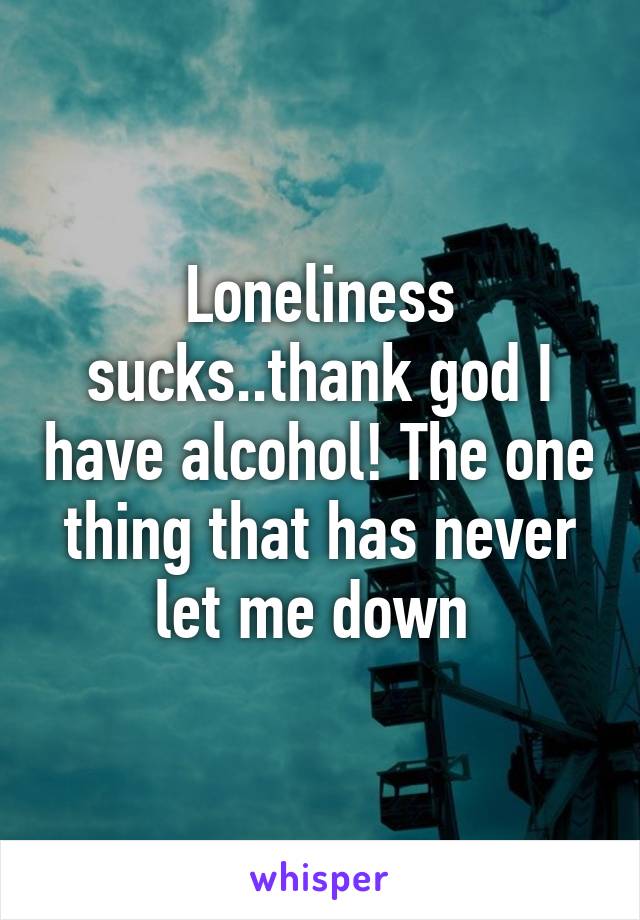Loneliness sucks..thank god I have alcohol! The one thing that has never let me down 