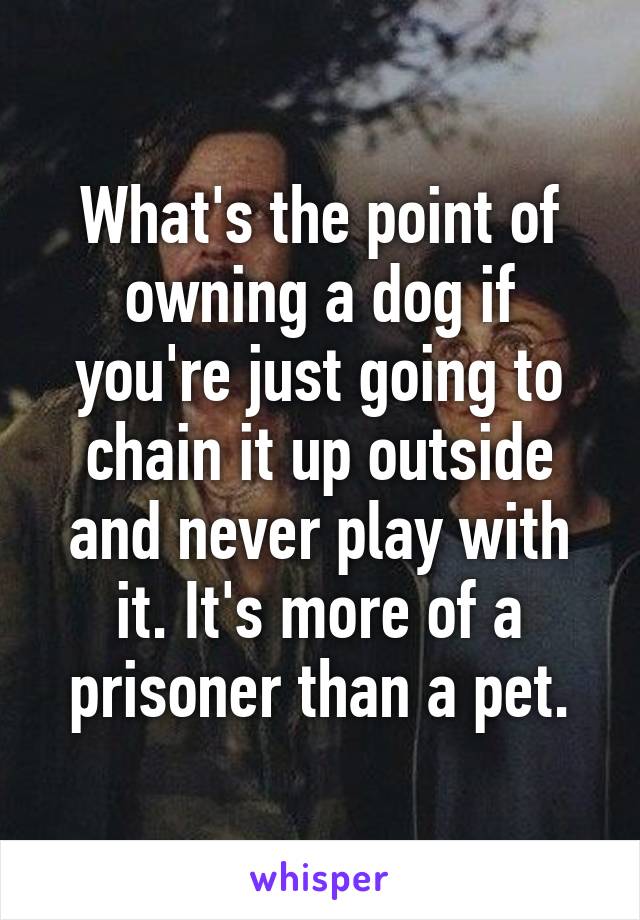 What's the point of owning a dog if you're just going to chain it up outside and never play with it. It's more of a prisoner than a pet.