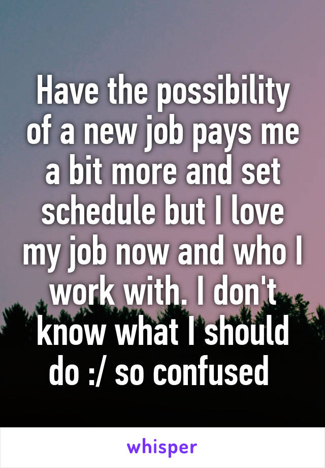 Have the possibility of a new job pays me a bit more and set schedule but I love my job now and who I work with. I don't know what I should do :/ so confused 