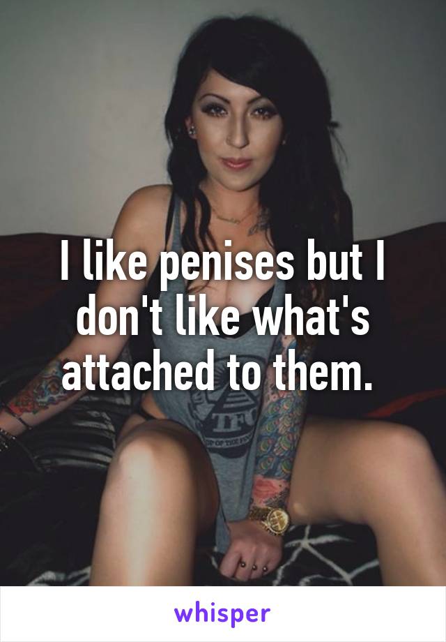 I like penises but I don't like what's attached to them. 