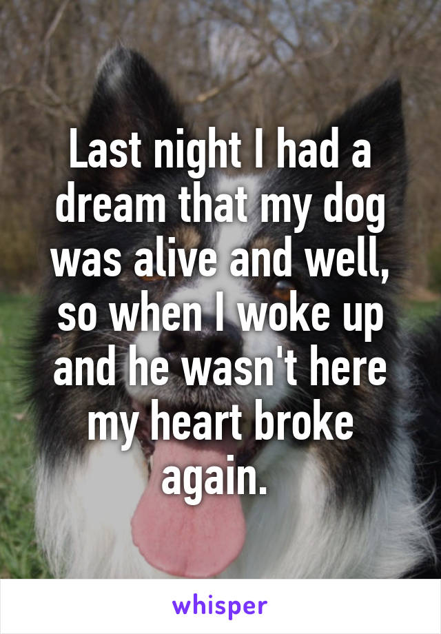 Last night I had a dream that my dog was alive and well, so when I woke up and he wasn't here my heart broke again. 