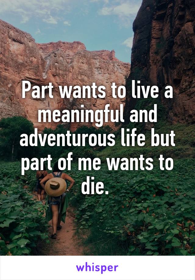 Part wants to live a meaningful and adventurous life but part of me wants to die. 