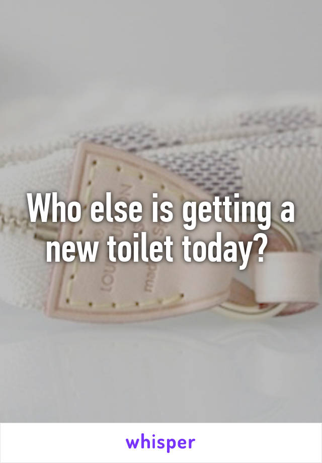 Who else is getting a new toilet today? 