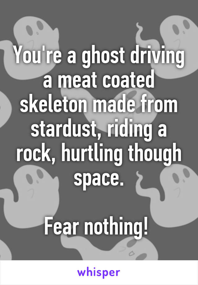 You're a ghost driving a meat coated skeleton made from stardust, riding a rock, hurtling though space.

Fear nothing! 