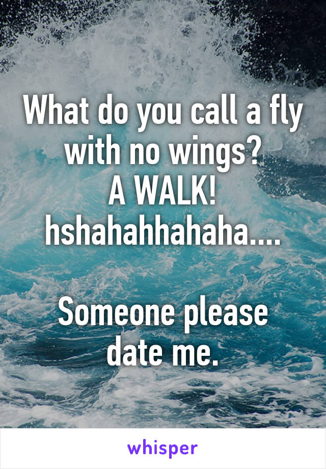 What do you call a fly with no wings?
A WALK! hshahahhahaha....

Someone please date me.