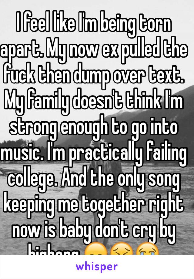 I feel like I'm being torn apart. My now ex pulled the fuck then dump over text. My family doesn't think I'm strong enough to go into music. I'm practically failing college. And the only song keeping me together right now is baby don't cry by bigbang.😞😖😭