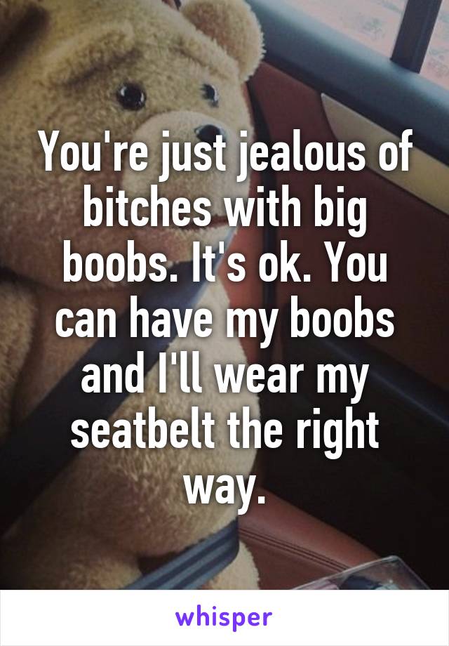 You're just jealous of bitches with big boobs. It's ok. You can have my boobs and I'll wear my seatbelt the right way.