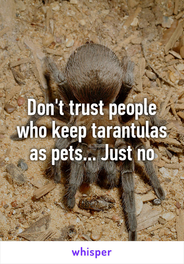 Don't trust people who keep tarantulas as pets... Just no