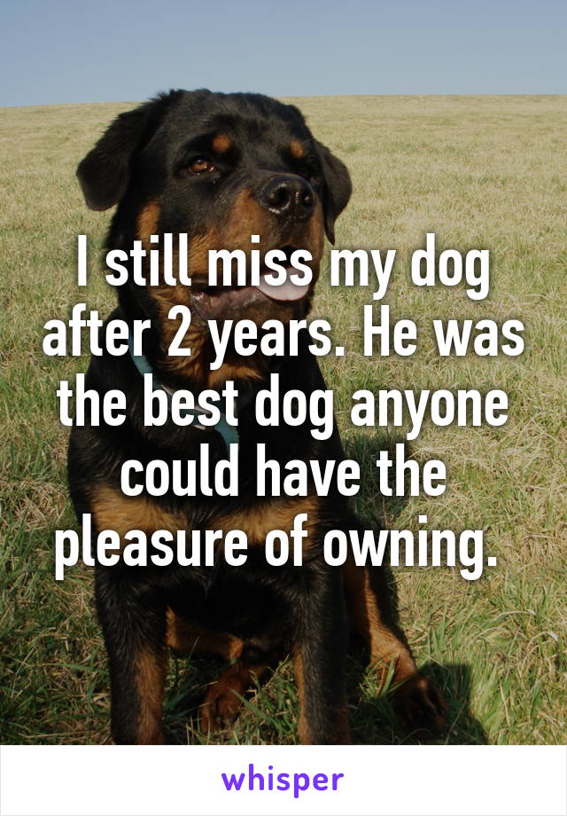 I still miss my dog after 2 years. He was the best dog anyone could have the pleasure of owning. 