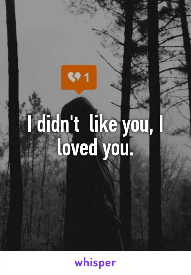 I didn't  like you, I loved you.