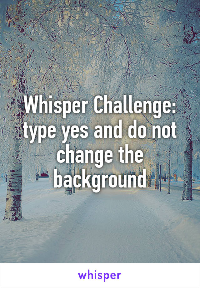 Whisper Challenge: type yes and do not change the background