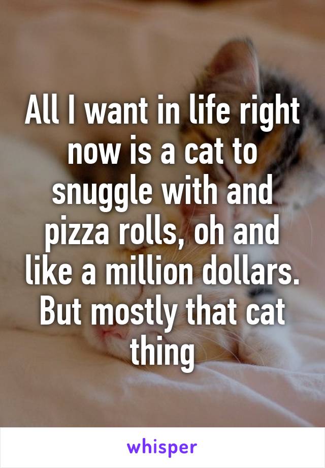 All I want in life right now is a cat to snuggle with and pizza rolls, oh and like a million dollars. But mostly that cat thing