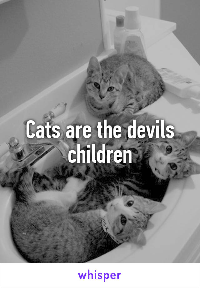 Cats are the devils children